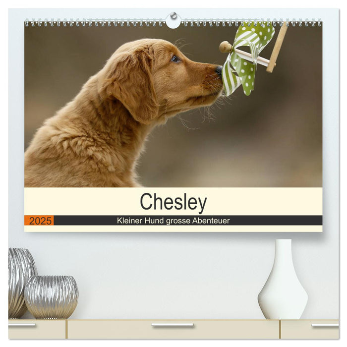 Chesley Kleiner Hund grosse Abenteuer (CALVENDO Premium Wandkalender 2025)