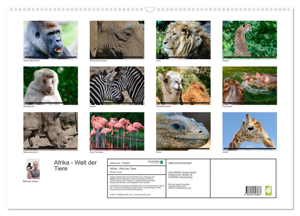 Afrika - Welt der Tiere (CALVENDO Wandkalender 2025)