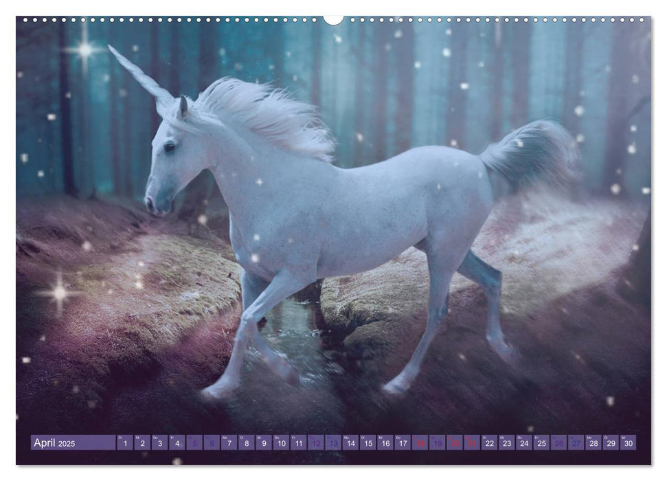 Einhorn Love - Fantasiewelt (CALVENDO Premium Wandkalender 2025)