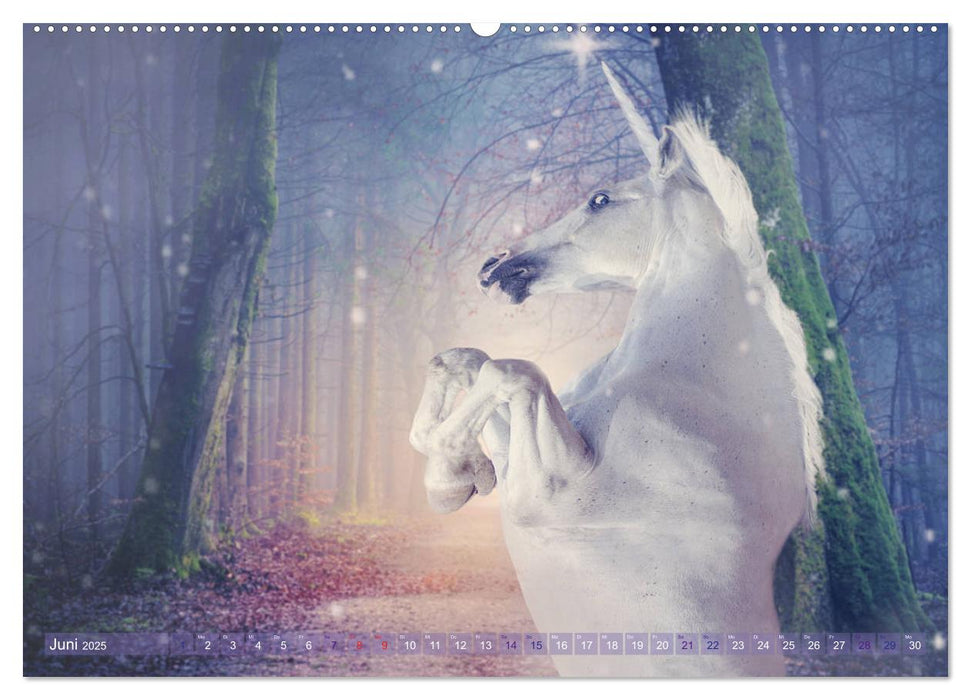 Einhorn Love - Fantasiewelt (CALVENDO Premium Wandkalender 2025)