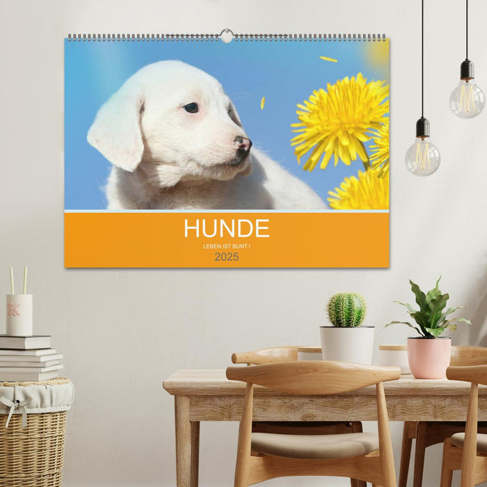 HUNDE LEBEN IST BUNT (CALVENDO Wandkalender 2025)