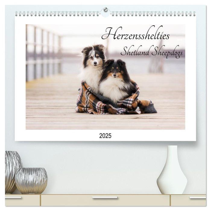 Herzensshelties - Shetland Sheepdogs (CALVENDO Premium Wandkalender 2025)