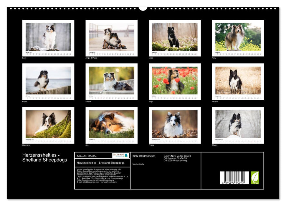 Herzensshelties - Shetland Sheepdogs (CALVENDO Premium Wandkalender 2025)