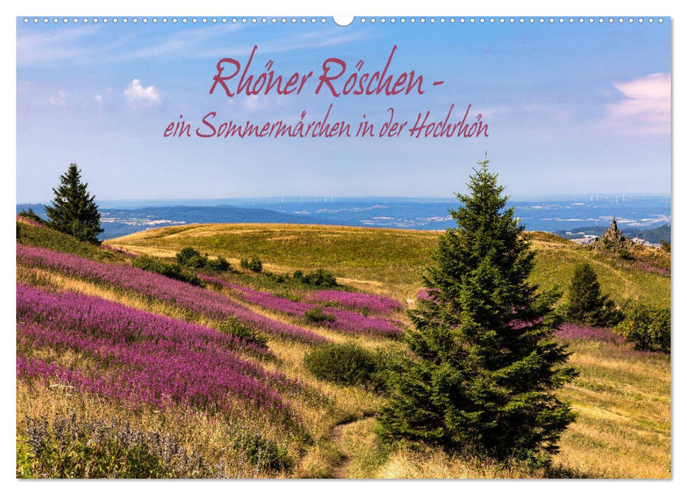 Rhöner Röschen - ein Sommermärchen in der Hochrhön (CALVENDO Wandkalender 2025)