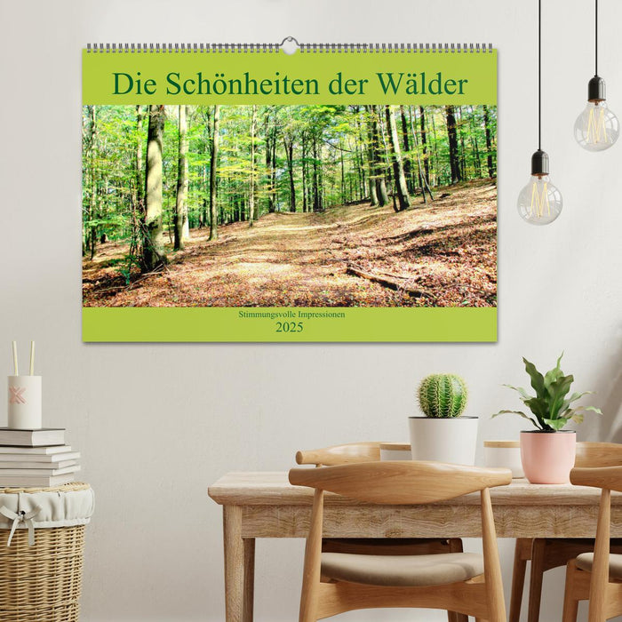 Die Schönheiten der Wälder - Stimmungsvolle Impressionen (CALVENDO Wandkalender 2025)