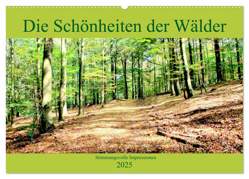 Die Schönheiten der Wälder - Stimmungsvolle Impressionen (CALVENDO Wandkalender 2025)