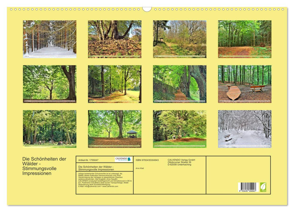 Die Schönheiten der Wälder - Stimmungsvolle Impressionen (CALVENDO Wandkalender 2025)