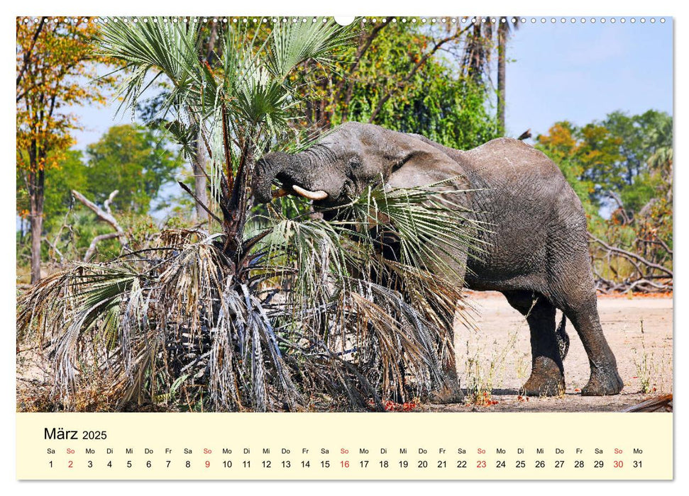 Traumhaftes Malawi (CALVENDO Premium Wandkalender 2025)