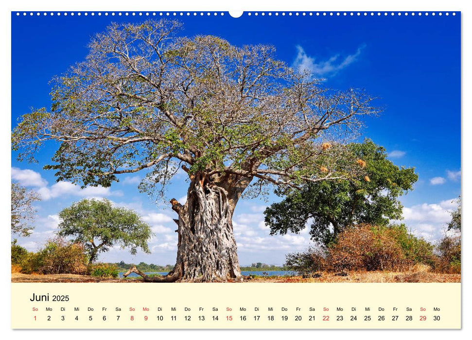 Traumhaftes Malawi (CALVENDO Premium Wandkalender 2025)