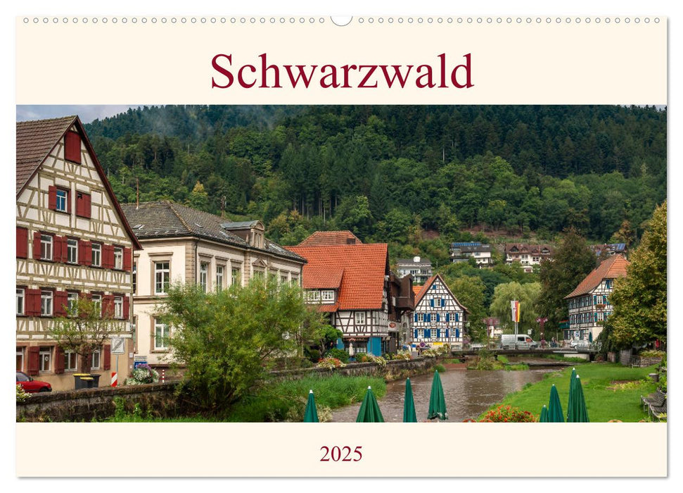 Schwarzwald (CALVENDO Wandkalender 2025)