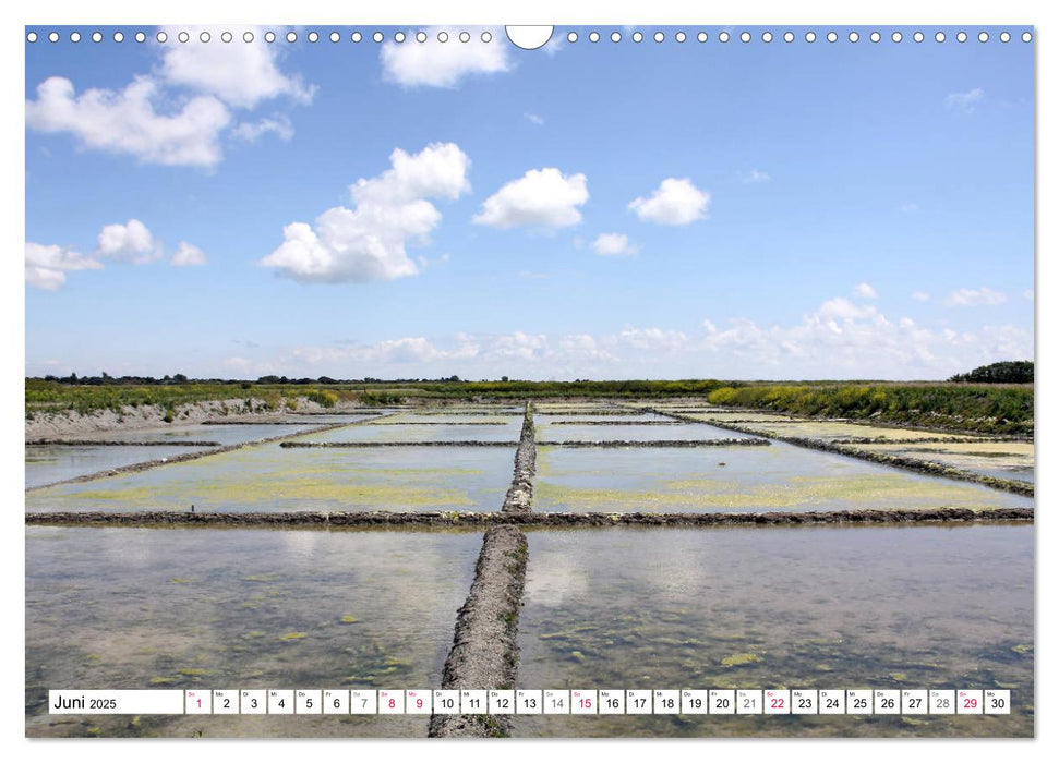 Île de Ré (CALVENDO Wandkalender 2025)