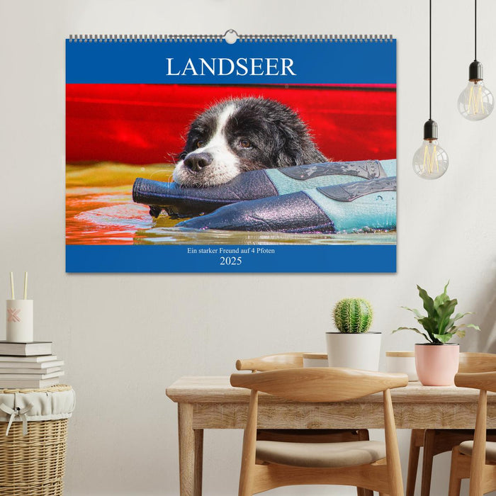 Landseer - Ein starker Freund auf 4 Pfoten (CALVENDO Wandkalender 2025)