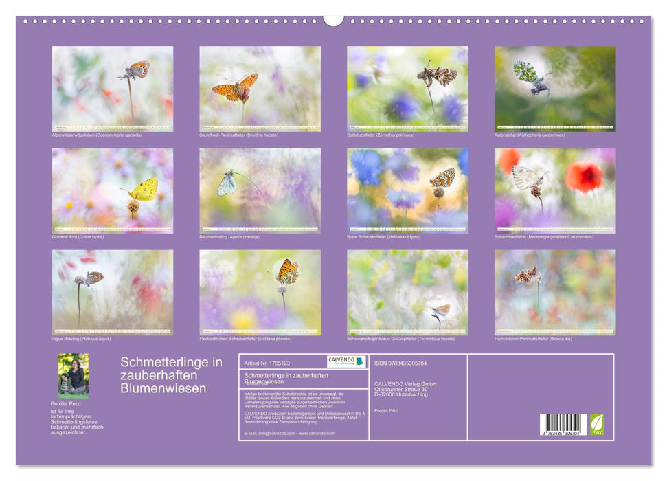 Schmetterlinge in zauberhaften Blumenwiesen (CALVENDO Wandkalender 2025)