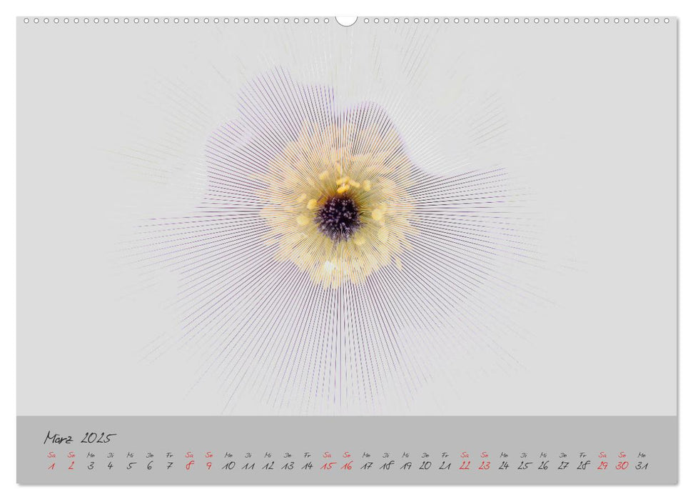 Blüten FineArt (CALVENDO Wandkalender 2025)