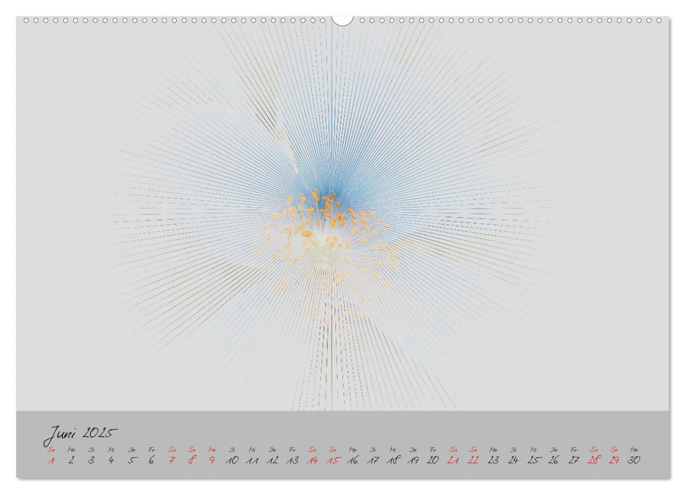 Blüten FineArt (CALVENDO Wandkalender 2025)