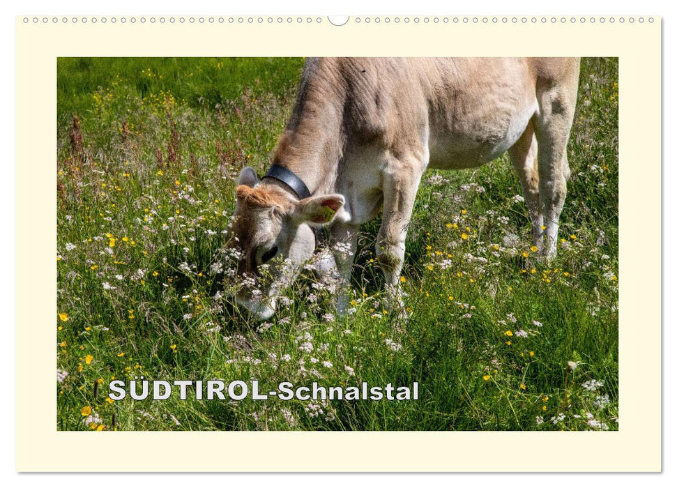 SÜDTIROL-Schnalstal (CALVENDO Wandkalender 2025)