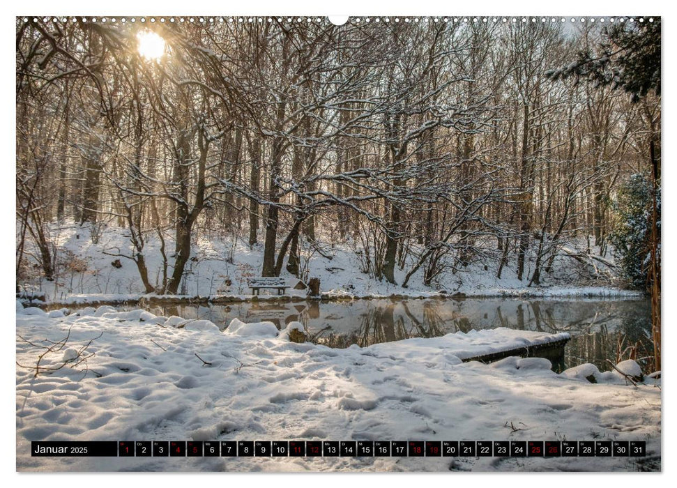 Wege des einfachen Glücks - Spaziergänge im Wald (CALVENDO Premium Wandkalender 2025)