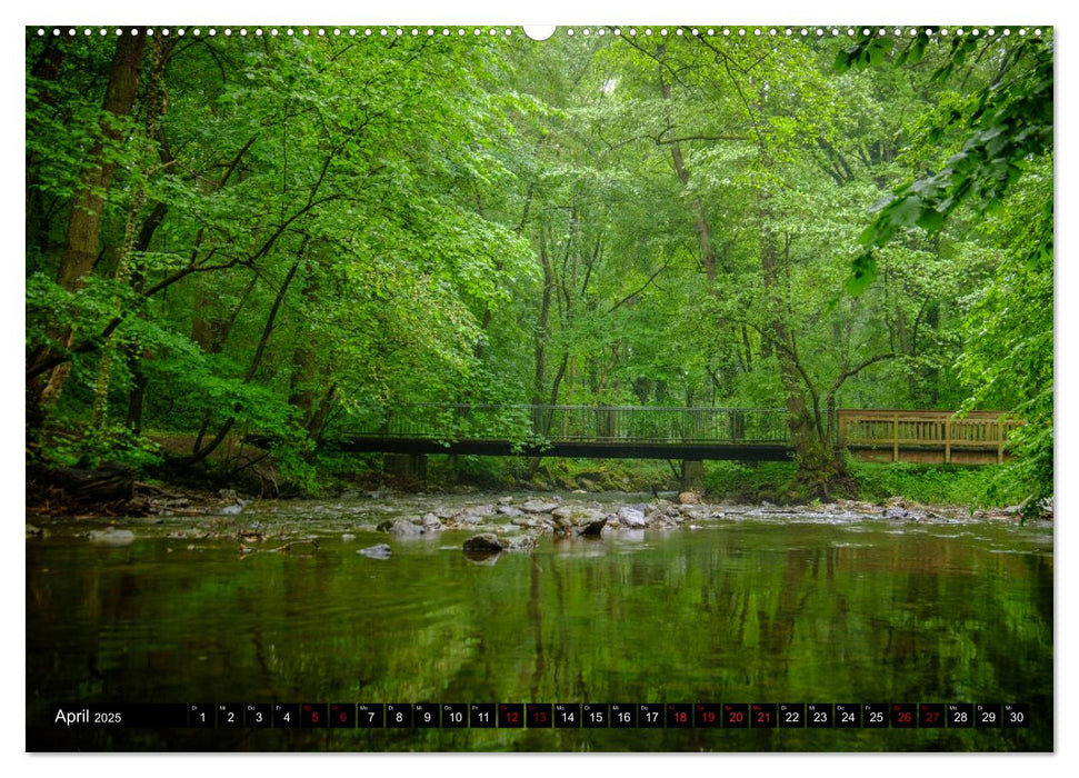 Wege des einfachen Glücks - Spaziergänge im Wald (CALVENDO Premium Wandkalender 2025)