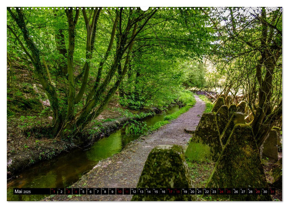 Wege des einfachen Glücks - Spaziergänge im Wald (CALVENDO Premium Wandkalender 2025)