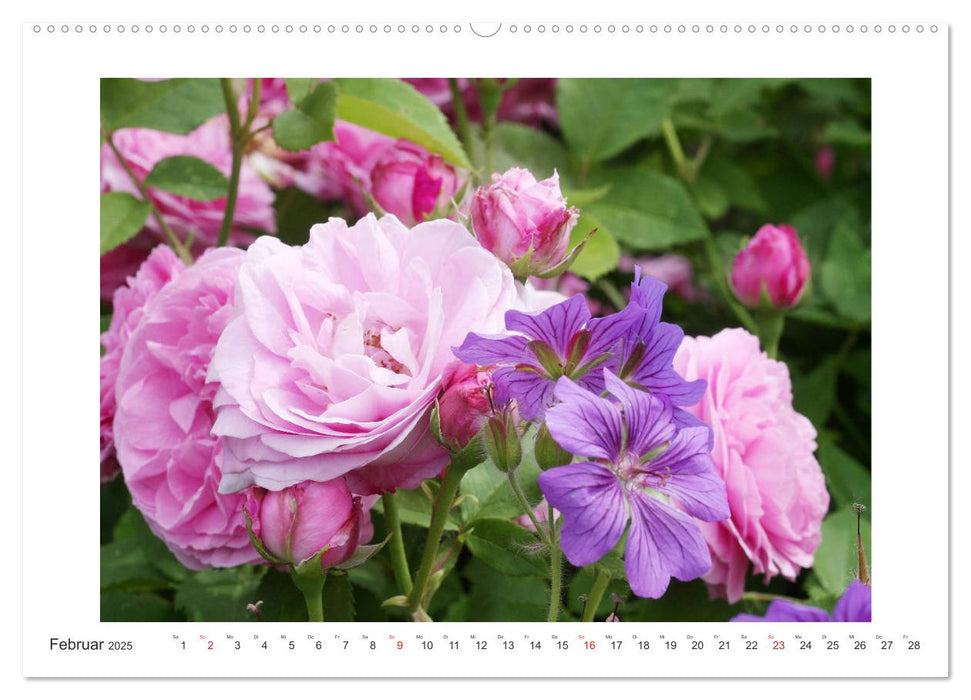 Rosenlust (CALVENDO Premium Wandkalender 2025)