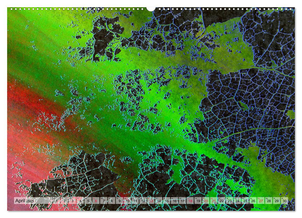 Ein abgefallenes Blatt kehrt nicht zum Baum zurück … (CALVENDO Wandkalender 2025)