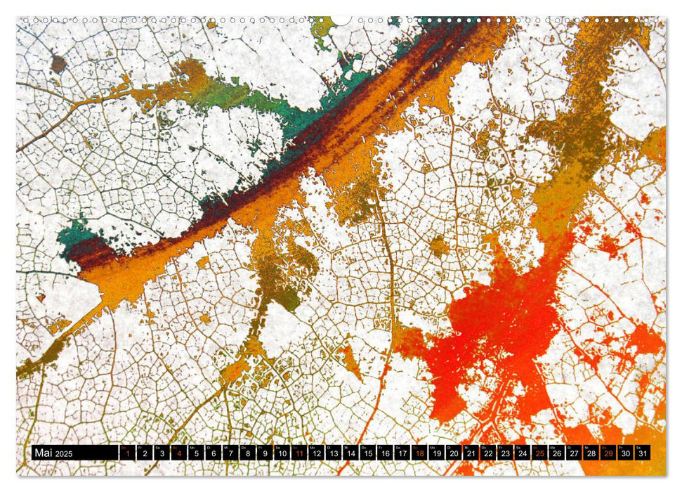 Ein abgefallenes Blatt kehrt nicht zum Baum zurück … (CALVENDO Wandkalender 2025)