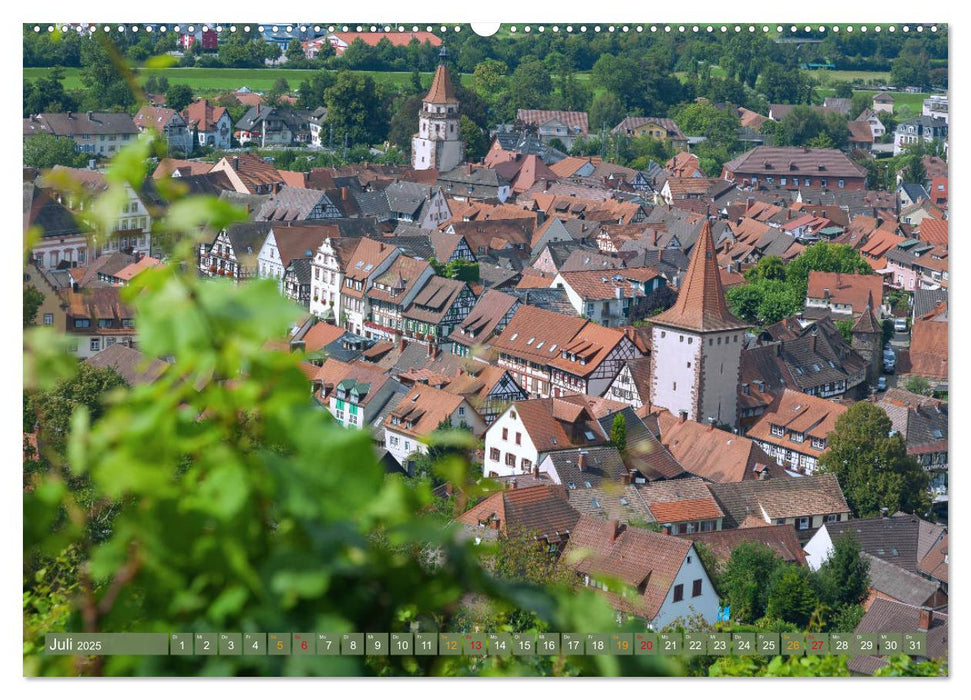 Malerischer Schwarzwald (CALVENDO Premium Wandkalender 2025)