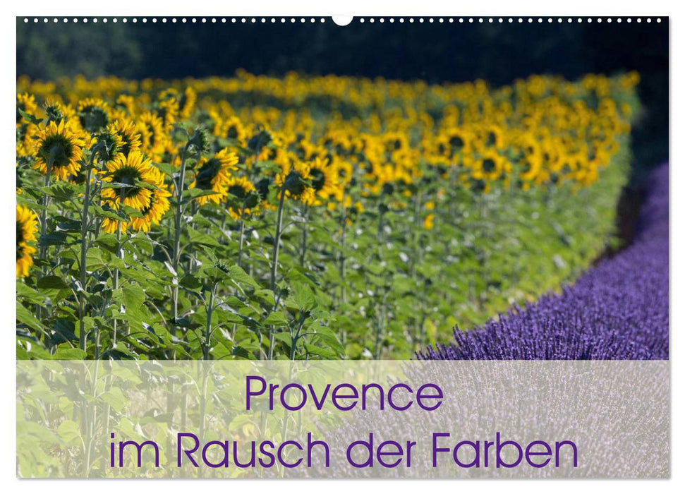 Provence im Rausch der Farben (CALVENDO Wandkalender 2025)