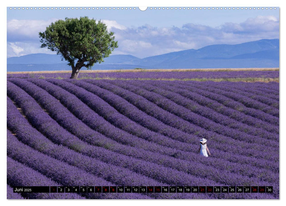 Provence im Rausch der Farben (CALVENDO Wandkalender 2025)