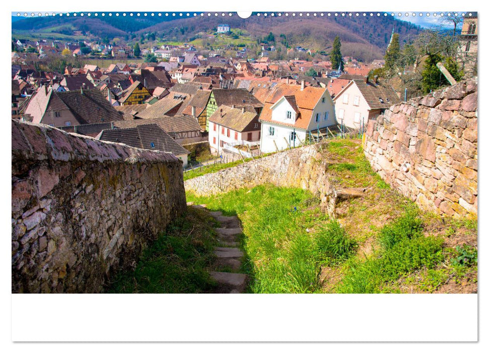 Elsass- und Vogesenträume (CALVENDO Wandkalender 2025)