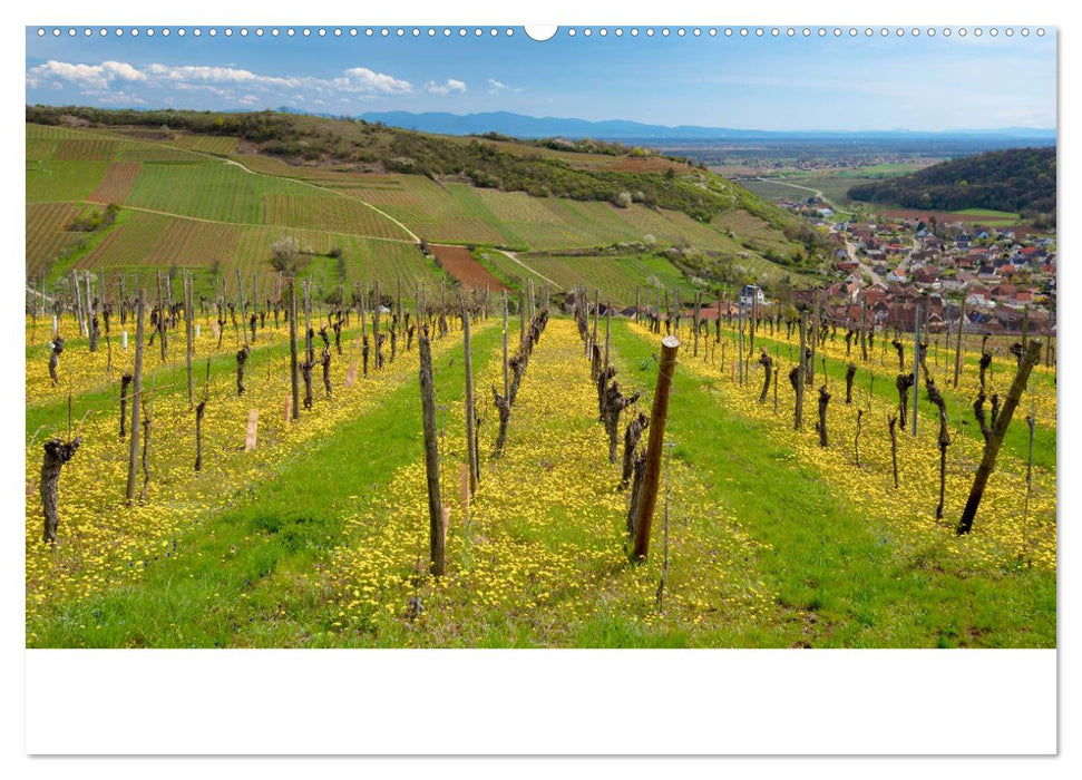 Elsass- und Vogesenträume (CALVENDO Wandkalender 2025)