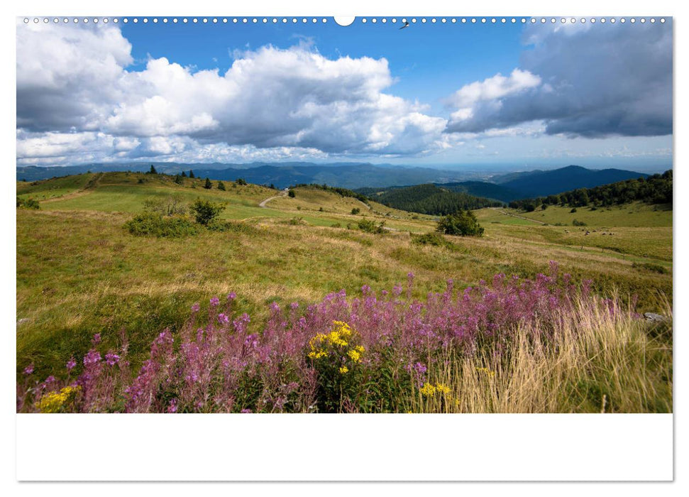 Elsass- und Vogesenträume (CALVENDO Wandkalender 2025)