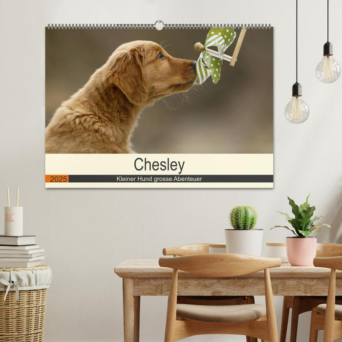 Chesley Kleiner Hund grosse Abenteuer (CALVENDO Wandkalender 2025)