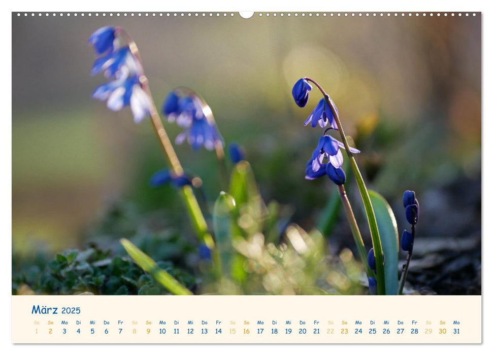 Naturwunder Blüten (CALVENDO Premium Wandkalender 2025)