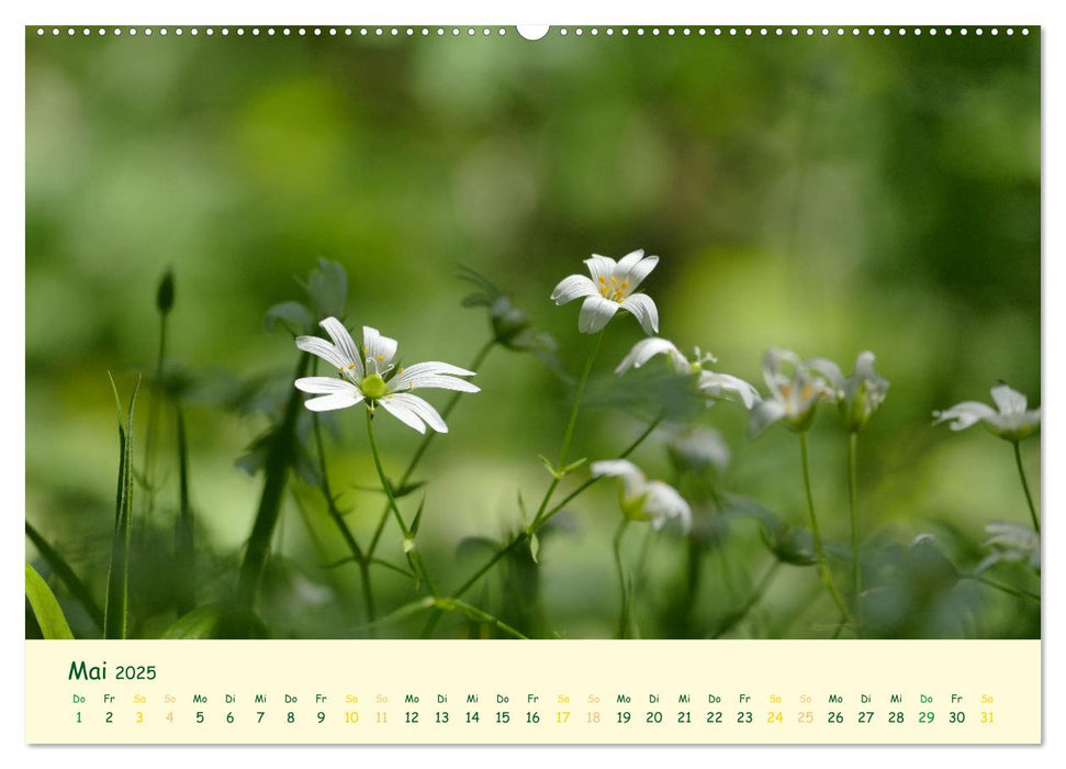 Naturwunder Blüten (CALVENDO Premium Wandkalender 2025)