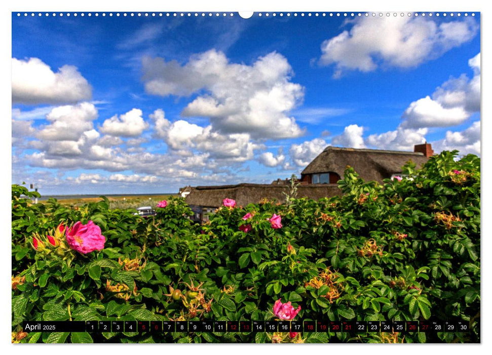 Magisches Sylt (CALVENDO Premium Wandkalender 2025)