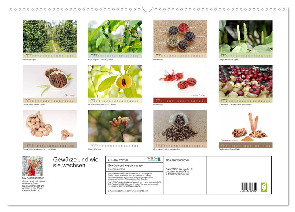 Gewürze und wie sie wachsen (CALVENDO Wandkalender 2025)