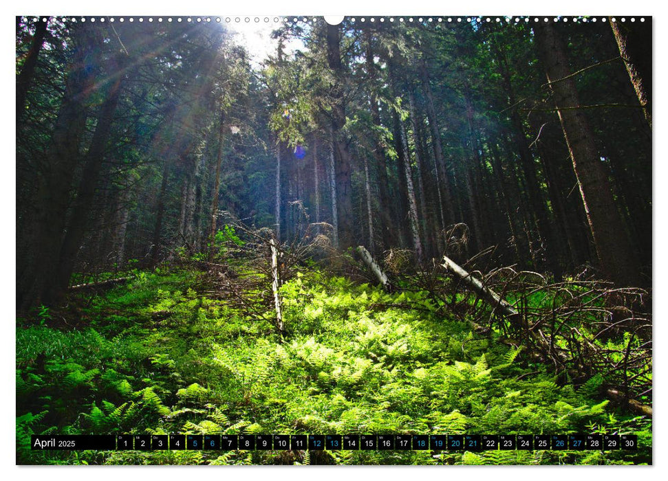 Slowakei - Abseits der Hohen Tatra (CALVENDO Premium Wandkalender 2025)