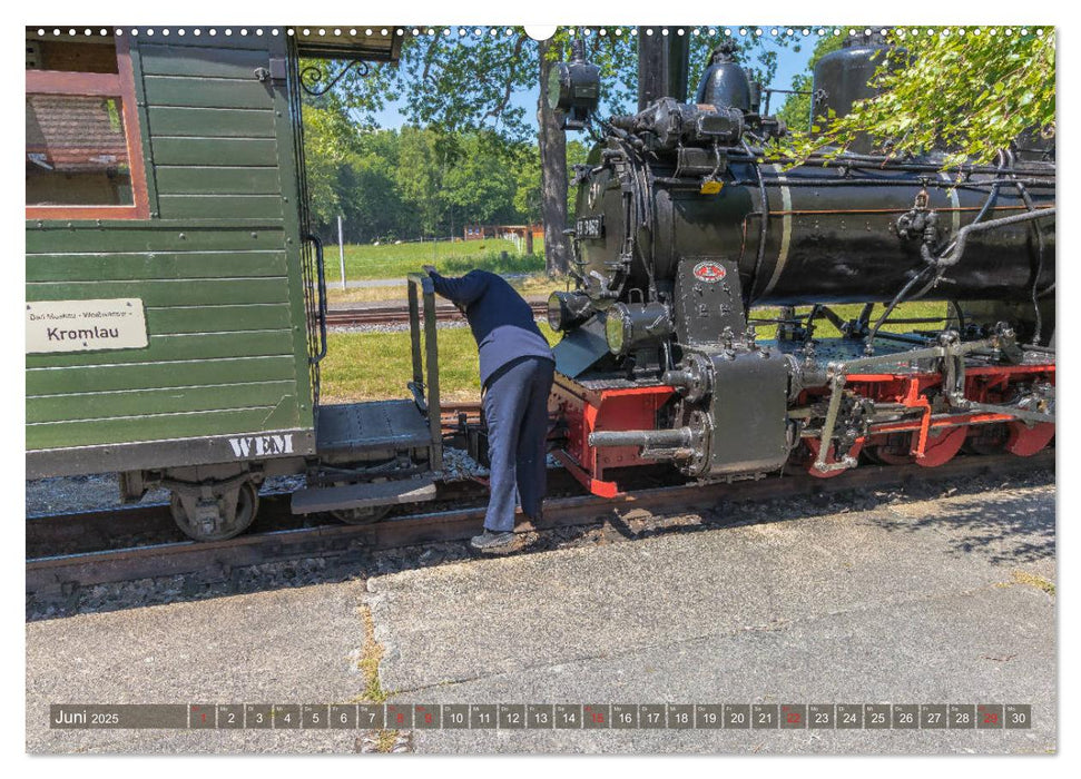 Reisen auf schmaler Spur - Kromlau - Weißwasser - Bad Muskau (CALVENDO Premium Wandkalender 2025)