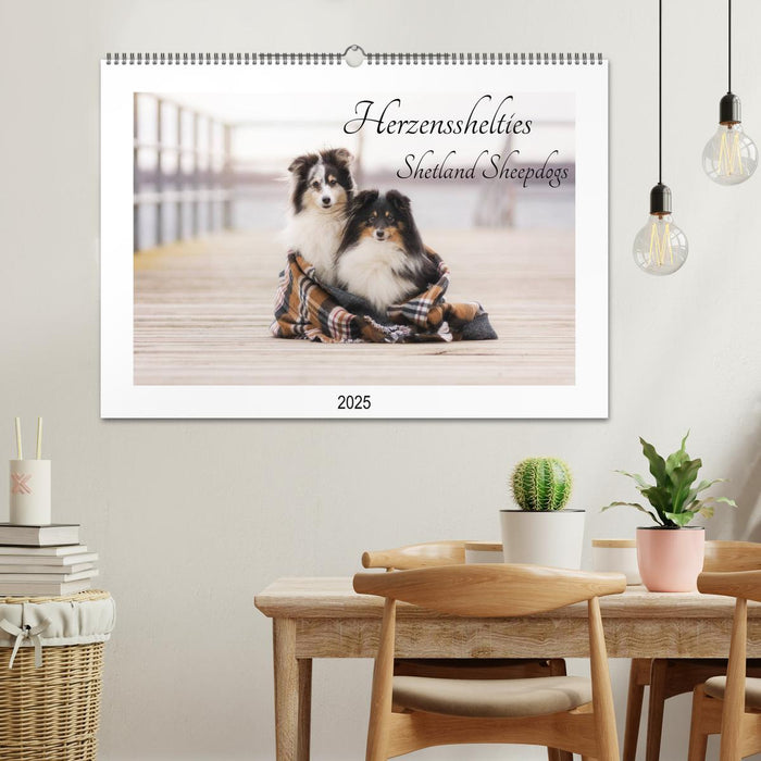 Herzensshelties - Shetland Sheepdogs (CALVENDO Wandkalender 2025)