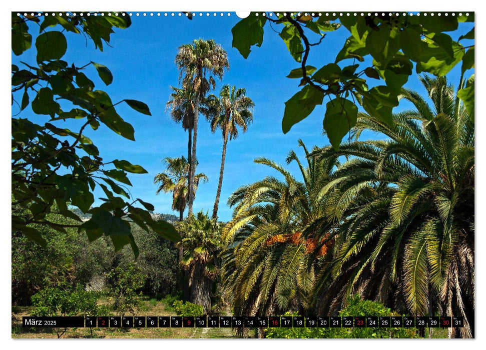 Zauberhafte Riviera - Die Hanbury Gärten (CALVENDO Wandkalender 2025)