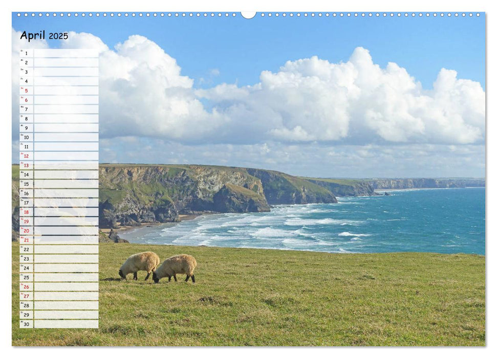 Cornwall. Terminkalender (CALVENDO Premium Wandkalender 2025)