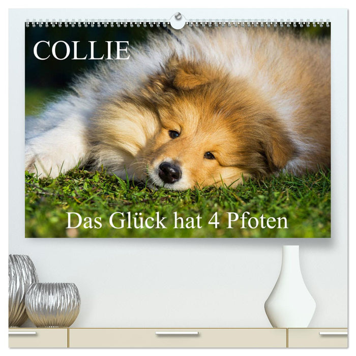 Collie - Das Glück hat 4 Pfoten (CALVENDO Premium Wandkalender 2025)