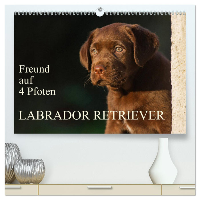 Freund auf 4 Pfoten - Labrador Retriever (CALVENDO Premium Wandkalender 2025)