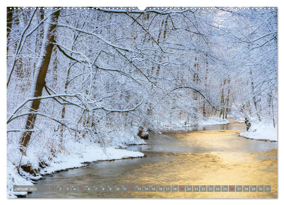 Chemnitz - Stadt und Natur (CALVENDO Premium Wandkalender 2025)