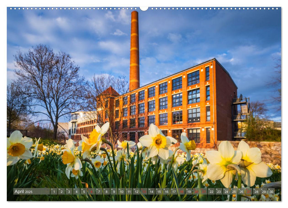 Chemnitz - Stadt und Natur (CALVENDO Premium Wandkalender 2025)