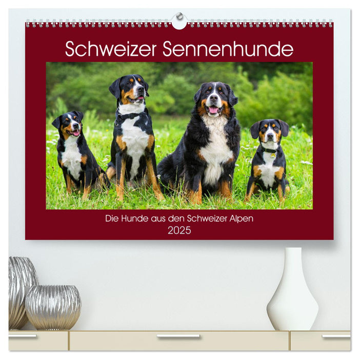 Schweizer Sennenhunde - die Hunde aus den Schweizer Alpen (CALVENDO Premium Wandkalender 2025)