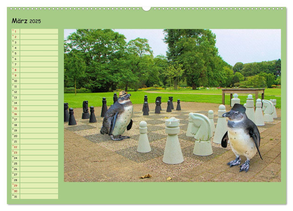 Pinguine privat Planer (CALVENDO Premium Wandkalender 2025)