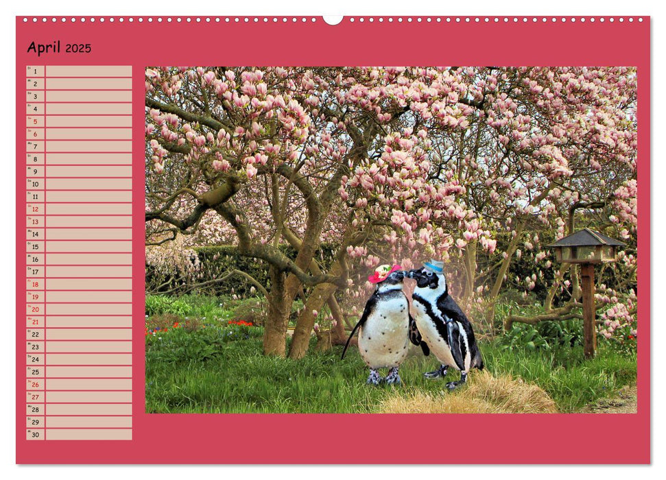 Pinguine privat Planer (CALVENDO Premium Wandkalender 2025)