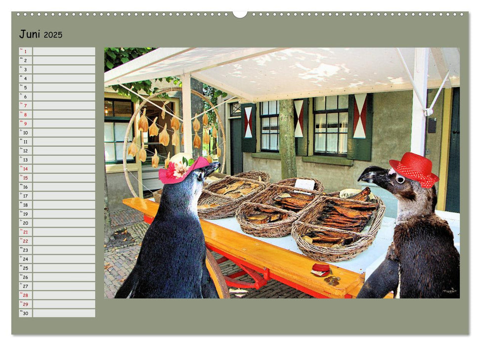 Pinguine privat Planer (CALVENDO Premium Wandkalender 2025)